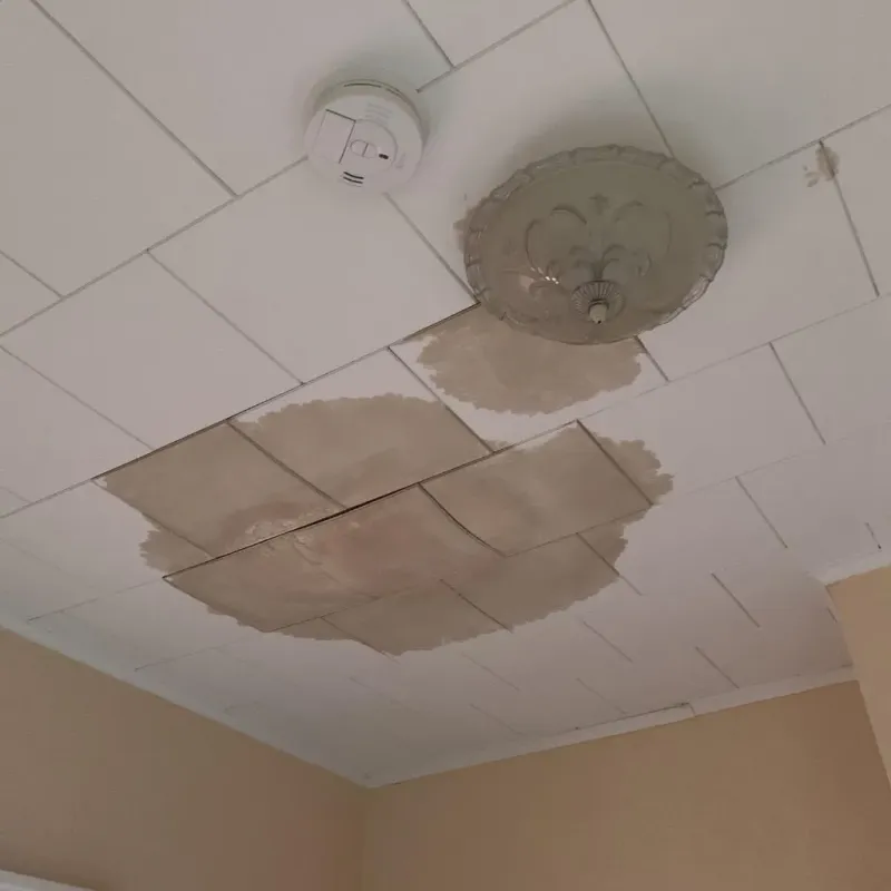 Ceiling Water Damage Repair in Clymer, PA