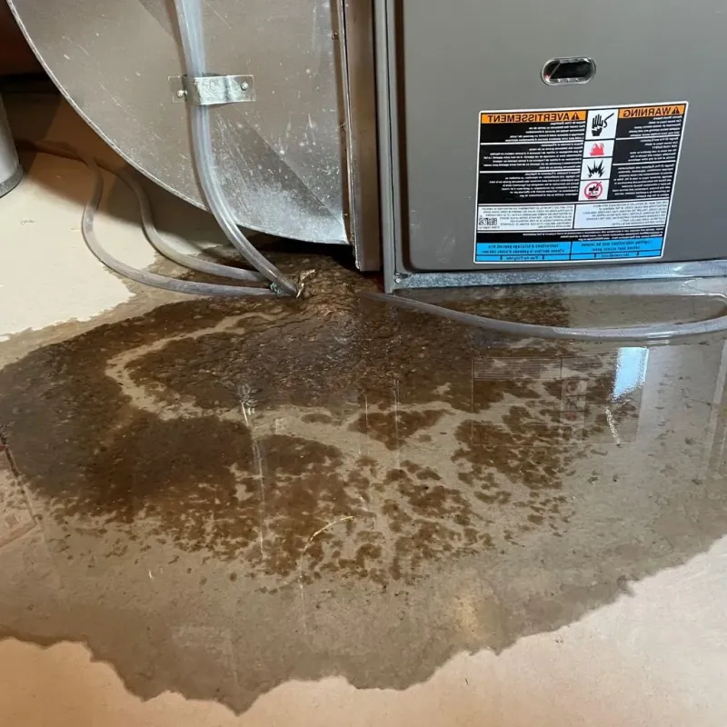 Pipe Burst and Leak Restoration in Clymer, PA