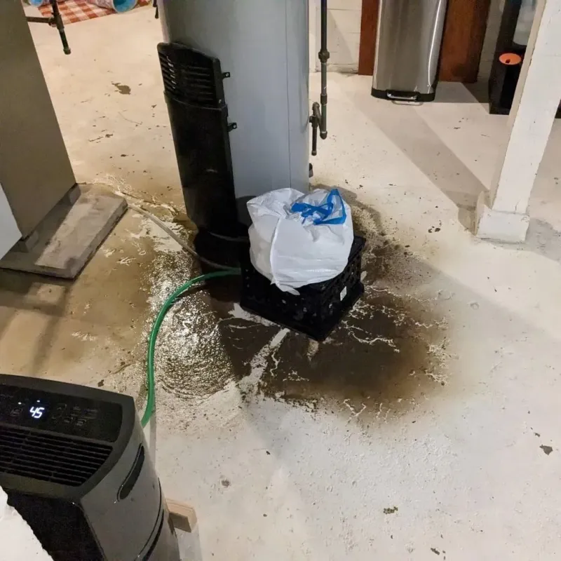 Sewage Backup Cleanup Service in Clymer, PA
